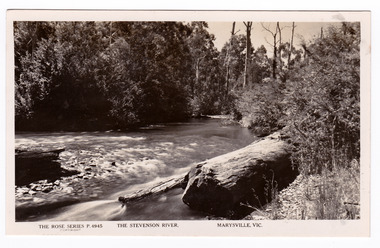 Shows the Steavenson River flowing over small rocks forming small rapids. In the foreground there is a large log lying on the bank. The opposite side of the bank is heavily forested. On the reverse of the postcard is a space to write a message and an address and to place a postage stamp. The postcard is unused.