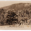 Shows a panoramic view from Wych Cross which was a guesthouse in Marysville. In the foreground is a large tree with a wooden bench seat at the base. Behind the tree can be seen the entrance gate and fenceline of the property. In the background there is a heavily forested mountain. On the reverse of the postcard is a handwritten message.