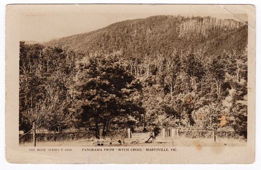 Shows a panoramic view from Wych Cross which was a guesthouse in Marysville. In the foreground is a large tree with a wooden bench seat at the base. Behind the tree can be seen the entrance gate and fenceline of the property. In the background there is a heavily forested mountain. On the reverse of the postcard is a handwritten message.