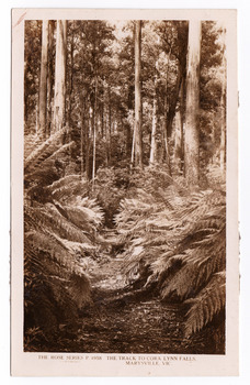 Shows the track leading through the forest to the Cora Lynn Falls which is in the Cumberland Valley in Victoria. Shows a track leading through a forest of trees and tree ferns. The reverse of the postcard is covered by paper residue from where the postcard had been removed from an album.