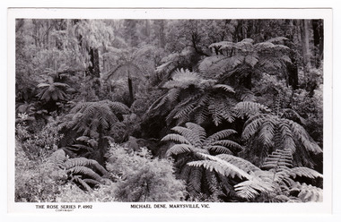 A black and white photograph taken on the Michael Dene walking track. On the reverse of the postcard is a space to write a message and an address and to place a postage stamp. The postcard is unused.
