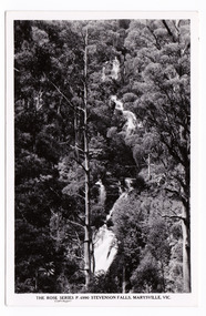 A black and white photograph of Stevenson (Steavenson's) Falls, Marysville, Victoria. On the reverse of the postcard is a space to write a message and an address and to place a postage stamp. The postcard is unused.