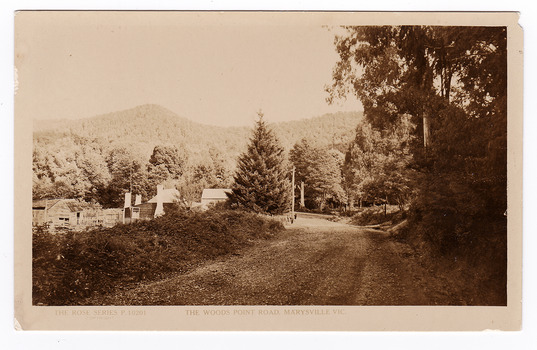 Shows the Wood's Point Road in Marysville in Victoria. Shows an unsealed road leading through the forest. On the left hand side of the road, behind a bank of shrubs, can be seen a small house and some out buildings and wooden fencing. On the reverse is a space to write a message and an address and to place a postage stamp. The postcard is unused.