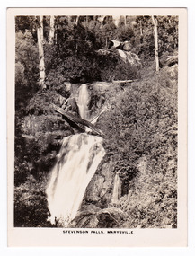 Shows Steavenson Falls, Marysville, Victoria. Shows three cascades flowing down a heavily forested hill. A log is lying across the last cascade. Shows the title of the photograph along the lower edge of the photograph.