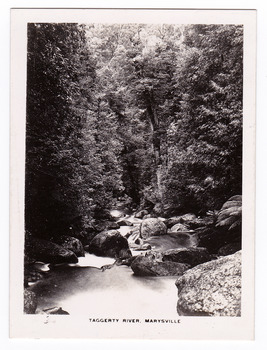 Shows the Taggerty River in Marysville in Victoria. Shows the river running over some large boulders through the forest. The title of the photograph is along the lower edge of the photograph.