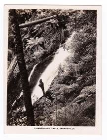Shows the Cumberland Falls which are near Marysville in Victoria. Shows the falls cascading down the mounain side. In the foreground is a tree and in the background a fallen log can be seen lying across the falls. The title of the photograph is along the lower edge of the photograph.