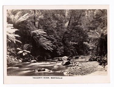 Shows the Taggerty River in Marysville in Victoria. Shows the river flowing over rocks through the forest and a small stony beach-like area on the right hand side. The title of the photograph is along the lower edge of the photograph.