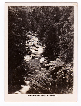 Shows the Taggerty River from Murray Pass near Marysville in Victoria. Shows a river flowing over rocks through a forest of trees and tree ferns. The title of the photograph is along the lower edge of the photograph.