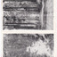 Shows a fold-out set of 11 miniature black and white photographs of scenic attractions taken in and around Marysville in Victoria. The titles of the photographs are across the top edge of the photographs.