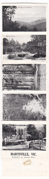 Shows a fold-out set of 11 miniature black and white photographs of scenic attractions taken in and around Marysville in Victoria. The titles of the photographs are across the top edge of the photographs.