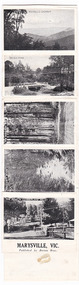 Shows a fold-out set of 11 miniature black and white photographs of scenic attractions taken in and around Marysville in Victoria. The titles of the photographs are across the top edge of the photographs.