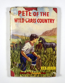 Front dust cover shows a boy holding a rope lasso hiding behind tall grasses watching a black horse. There are other horses in the background. Also in the background is a grass plain which is ringed by mountains. The book itself is bound in red with the title in black writing. On the front of the book there is a logo of the Panther Library. The name of the author, the title and the publisher are written in black down the spine of the book.