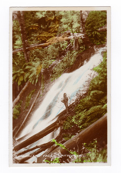 Shows the Cumberland Falls near Marysville in Victoria. Shows the falls cascading down a hill. In the foreground are several fallen logs. The falls are surrounded by forest. The title of the photograph is handwritten in white ink along the lower edge.