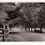  Shows the tree lined main street in Marysville. In the foreground on the left of the photograph can be seen some wooden fencing with an entrance lynch gate. In the right of the photograph can be seen an early model car standing under a tree. The title of the photograph is handwritten in white ink along the lower edge. On the reverse of the postcard is a handwritten message.