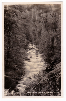 Shows the Taggerty River in Marysville in Victoria. Shows the river flowing over rock through the forest. In the foreground there is a tree fern. The title of the photograph is handwritten in white ink on the lower edge.