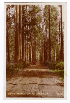 Shows the Acheron Way near Marysville in Victoria. Shows an unsealed road leading through the forest. The title of the photograph is handwritten in white ink on the lower edge.