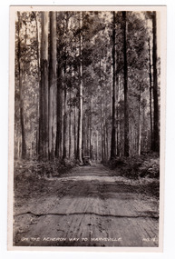 Shows the Acheron Way near Marysville in Victoria. Shows an unsealed road leading through the forest. The title of the photograph is handwritten in white ink on the lower edge.