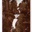 Shows Steavenson Falls in Marysville, Victoria. Shows the three cascades flowing down a mountain. The falls are surrounded by a forest of trees. The title of the photograph is handwritten in white ink on the lower edge. On the reverse is a space to write a message and to place a postage stamp.