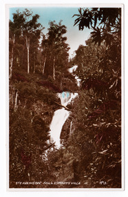 Shows Steavenson Falls in Marysville, Victoria. Shows the three cascades flowing down a mountain. The falls are surrounded by a forest of trees. The title of the photograph is handwritten in white ink on the lower edge. On the reverse is a space to write a message and to place a postage stamp.