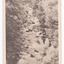 Shows the view of the Taggerty River from Murray Pass near Marysville in Victoria. Shows the river flowing over rocks through the forest. On the reverse of the postcard is a space to write a message and an address and to place a postage stamp. The postcard is unused.