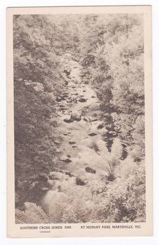 Shows the view of the Taggerty River from Murray Pass near Marysville in Victoria. Shows the river flowing over rocks through the forest. On the reverse of the postcard is a space to write a message and an address and to place a postage stamp. The postcard is unused.