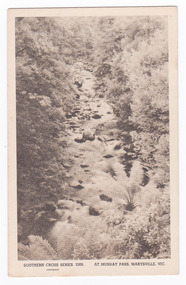 Shows the view of the Taggerty River from Murray Pass near Marysville in Victoria. Shows the river flowing over rocks through the forest. On the reverse of the postcard is a space to write a message and an address and to place a postage stamp. The postcard is unused.
