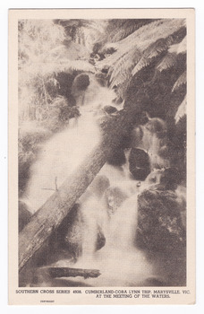 Shows the Cora-Lynn waterfalls at the Meeting of the Waters near Cumberland Creek. Shows the waterfall cascading down the mountain. In the foreground there is a fallen log lying across the falls. In the background are some tree ferns. On the reverse of the postcard is space to write a message and an address and place a postage stamp. The postcard is unused.