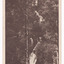 Shows Steavenson Falls, Marysville in Victoria. Shows the falls cascading down the mountain surrounded by forest. The reverse of the postcard has a handwritten message.