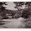 Shows the Main Street in Marysville in Victoria. In the background can be seen the Australia Hotel which became The Cumberland Hotel. Also in the background can be seen a sign with an arrow pointing to the Mary-Lyn Guest House. The title of the photograph is handwritten in black ink on the lower edge. On the reverse of the postcard is a space to write a message and an address and to place a postage stamp. The postcard is unused.