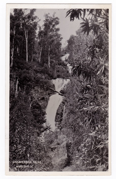 Shows Steavenson Falls in Marysville, Victoria. Shows the waterfalls cascading down the mountain surrounded by a forest of trees and tree ferns. The title of the photograph is handwritten in white ink on the lower edge. On the reverse of the postcard is space to write a message and an address and to place a postage stamp. The card is unused.