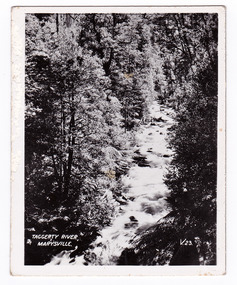 Shows the Taggerty River in Marysville in Victoria. Shows the river flowing over rocks through a forest of trees and tree ferns. The title of the photograph is handwritten in white ink on the lower edge.