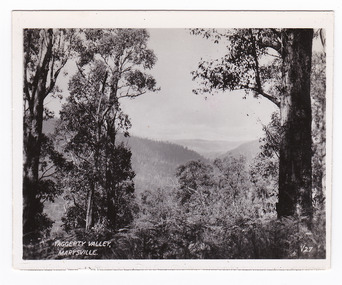 Shows the Taggerty Valley near Marysville in Victoria. Shows a distant view of the valley which is surrounded by heavily forested mountains. In the foreground are some large trees. The title of the photograph is handwritten in white ink on the lower edge.
