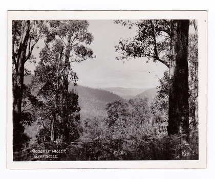 Shows the Taggerty Valley near Marysville in Victoria. Shows a distant view of the valley which is surrounded by heavily forested mountains. In the foreground are some large trees. The title of the photograph is handwritten in white ink on the lower edge.