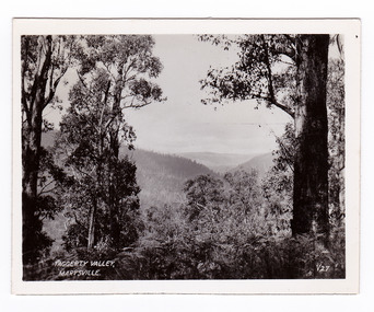 Shows the Taggerty Valley near Marysville in Victoria. Shows a distant view of the valley which is surrounded by heavily forested mountains. In the foreground are some large trees. The title of the photograph is handwritten in white ink on the lower edge.