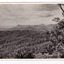 Shows the Cathedral Range taken from Mount Gordon near Marysville in Victoria. Shows a series of heavily forested mountains leading to the Cathedral Range. In the foreground are some large trees. The title of the photograph is handwritten in white ink on the lower edge. On the reverse of the postcard is a space to write a message and an address and to place a postage stamp. The postcard is unused.
