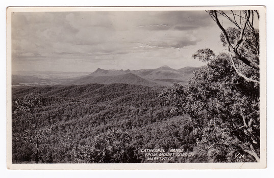 Shows the Cathedral Range taken from Mount Gordon near Marysville in Victoria. Shows a series of heavily forested mountains leading to the Cathedral Range. In the foreground are some large trees. The title of the photograph is handwritten in white ink on the lower edge. On the reverse of the postcard is a space to write a message and an address and to place a postage stamp. The postcard is unused.
