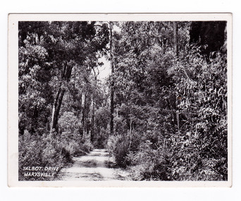 Shows Talbot Drive in Marysville, Victoria. Shows an unseald road leading through a forest of trees and tree ferns. The title of the photograph is handwritten in white ink on the lower edge.