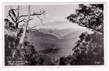 Shows the view of Marysville taken from Mount Gordon. In the distance can be seen the buildings of Marysville surrounded by heavily forested mountains. In the foreground are some large trees. The title of the photograph is handwritten in white ink on the lower edge. On the reverse there is a handwritten message.