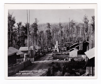 Shows the township of Camberville near Marysville in Victoria. Shows unsealed road lined with several wooden buildings. Each building is surrounded by low wooden picket fences. The street is surrouned by forest. The title of the photograph is handwritten in white ink along the lower edge.