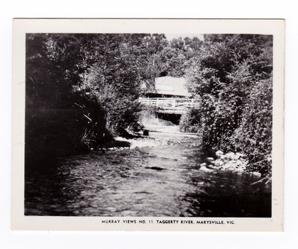 Shows the Steavenson River in Marysville, Victoria. Shows the river flowing under a wooden bridge. In the background can be seen the roof of a building. The river is lined with trees and shrubs. The title of the photograph is shown along the lower edge of the photograph.