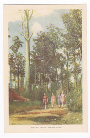Shows a group of four ladies walking along a bush track in Marysville in Victoria. Both sides of the track are heavily forested. On the left hand side of the track can be seen a large fallen tree. The title of the postcard is shown along the lower edge of the postcard. On the reverse of the postcard is a space to write a message and an address and to place a postage stamp. The postcard is unused.