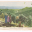 Shows the view of Marysville in Victoria taken from Nicholl's Lookout. Shows two groups of people looking at the view. In the background can be seen a series of heavily forested mountains. The title of the postcard is shown along the lower edge of the postcard. On the reverse of the postcard is a space to write a message and an address and to place a postage stamp. The postcard is unused.