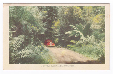 Shows a red early model car travelling along Lady Talbot Drive in Marysville in Victoria. The road leads through a forest of trees and tree ferns. The title of the postcard is shown along the lower edge of the postcard. On the reverse of the postcard is a space to write a message and an address and to place a postage stamp. The postcard is unused.