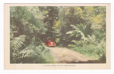 Shows a red early model car traveling along Lady Talbot Drive in Marysville in Victoria. The road leads through a forest of trees and tree ferns. The title of the postcard is shown along the lower edge of the postcard. On the reverse of the postcard is a space to write a message and an address and to place a postage stamp. The postcard is unused.
