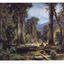Shows a painting of a ford on the Acheron River that was painted in 1881 by H.J. Johnstone. Shows a man riding a horse next to a pool of water. The water is surrounded by a forest of trees and tree ferns. In the background can be seen a series of mountains. On the reverse of the postcard is a space to write a message and an address and to place a postage stamp. The postcard is unused.
