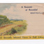 An envelope of 12 colour photographs of attractions in and around Marysville in Victoria. On the front of the envelope is a space to write an address. The envelope is unused.
