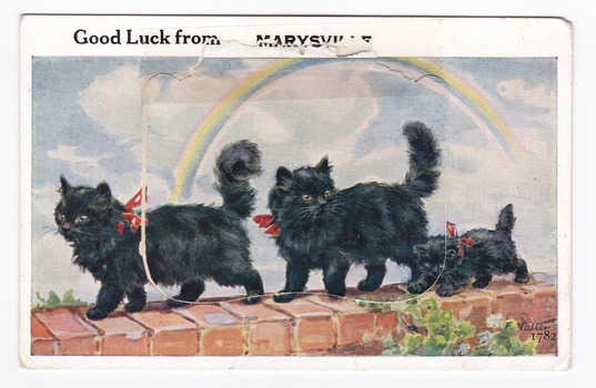 Shows an illustration of a line of two black cats and a black kitten walking along the top surface of a brick wall. All three cats have red bows around their necks. The title of the postcard is written along the top edge. There is a lift-up flap in the middle with a pull-out strip of 9 miniature photographs of places of interest in and around Marysville. On the reverse of the postcard is a hand-written message.