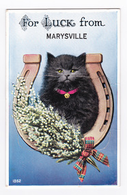 Shows an illustration of a black kitten sitting on an up turned horseshoe. The kitten is wearing a red collar with a gold bell attached. In front of the kitten is a large bunch of white flowers tied up with a tartan bow. The title of the postcard is written along the top edge. There is a lift-up flap in the middle with a pull-out strip of 9 miniature photographs of places of interest in and around Marysville. On the reverse of the postcard is a hand-written message.