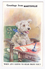 Shows an illustration of a white terrier dog sitting up on a green chair at a writing desk. On the writing desk is piece of writing paper, an envelope with the words 'TO ME' written on the front and a pen in an ink bottle. The title of the postcard is across the top edge with a sentence written along the lower edge of the postcard. There is a lift-up flap in the middle with a pull-out strip of 11 miniature photographs of places of interest in and around Marysville. On the reverse of the postcard is a space to write a message and an address. There is also a space to place a postage stamp. The postcard is unused.