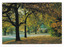 Shows autumn trees along a street in Marysville in Victoria. The postcard appears to have been removed from a booklet of postcards. On the reverse of the postcard is a space to write a message and an address and to place a postage stamp. The postcard is unused.